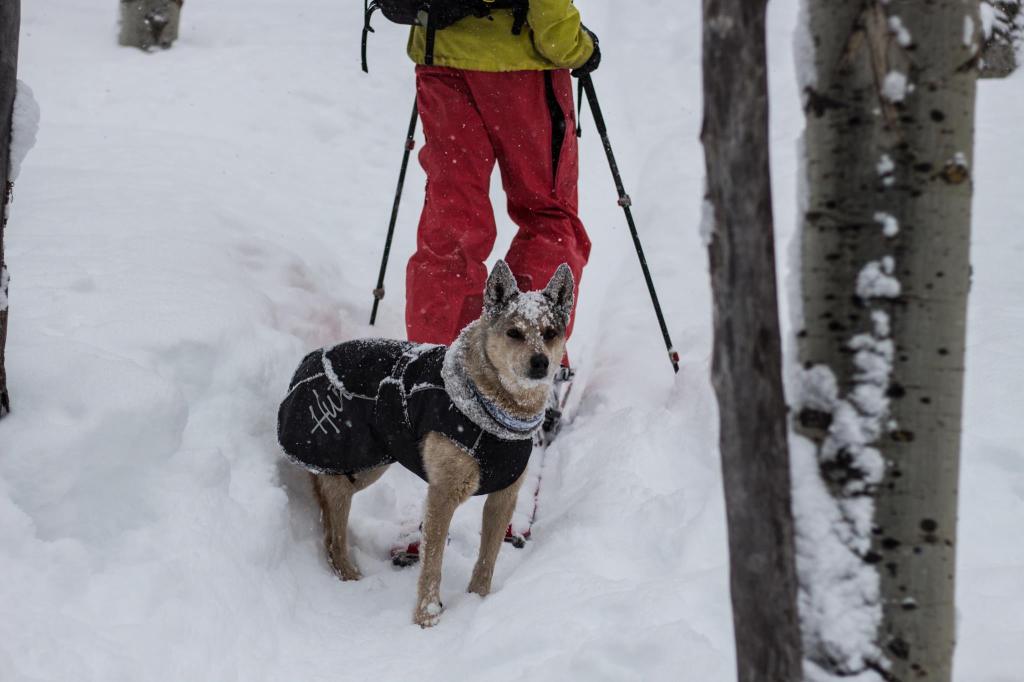 Note that she is not dead.