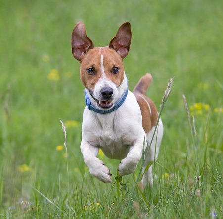 Somehow less intimidating.