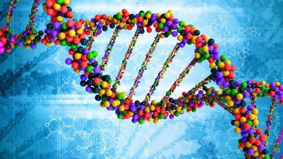 I did an image search for "fucked-up DNA," but apparently DNA is a gay porn magazine so you get normal DNA.