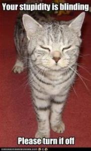 funny-pictures-cat-calls-you-stupid